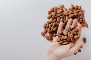 Protein for Older Adults