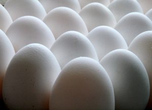 Eggs & Cholesterol