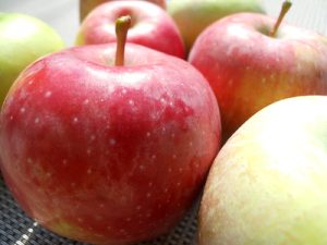 Apple Season